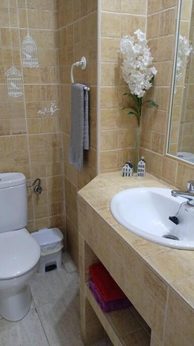 Acogedor Apartamento Jv36 Córdoba Exterior foto